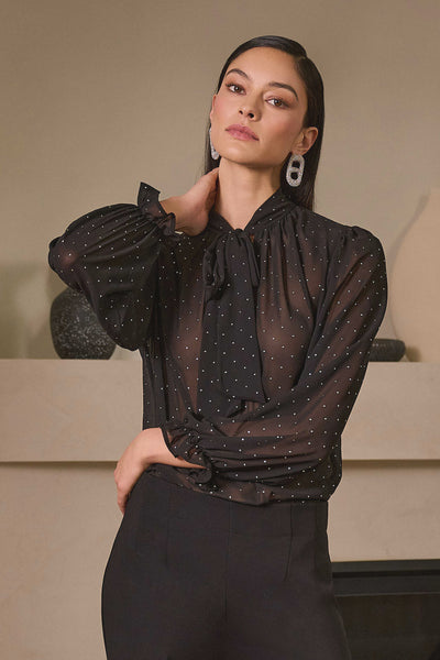 254200 Dew Drop Chiffon Tie Neck Blouse
