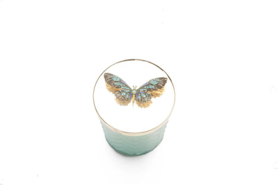 HCG51 Cote Noire Butterfly Broach /  Candle & Scarf Gift